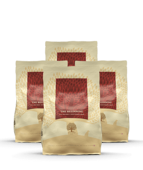 ESSENTIAL the BEGINNING SMALL SIZE 4 x 2.5кг