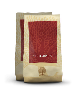 ESSENTIAL the BEGINNING 2 х 10кг.