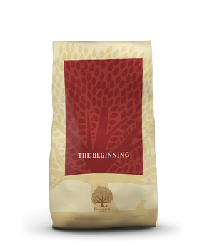 ESSENTIAL the BEGINNING 10кг.