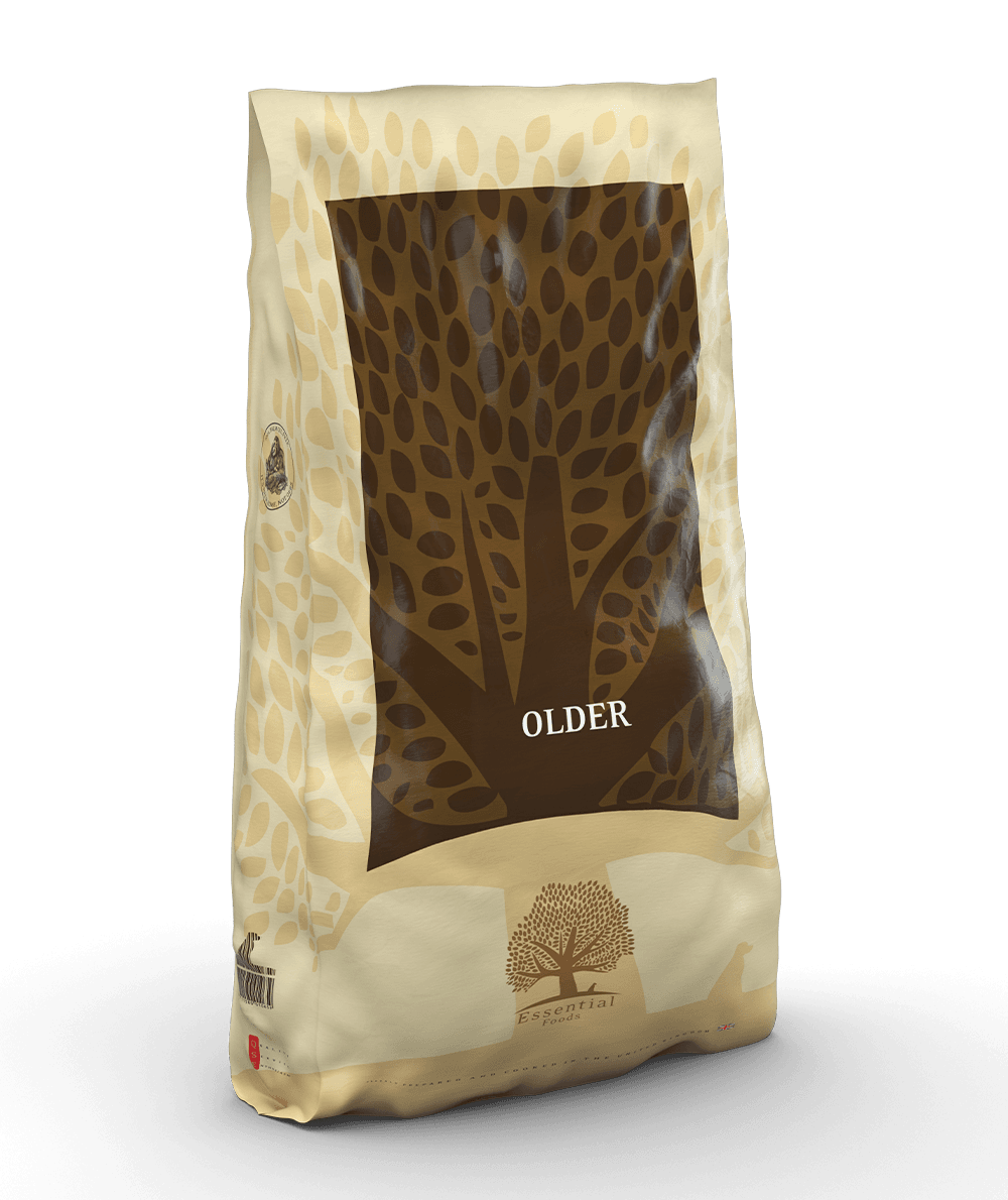 ESSENTIAL OLDER 10кг