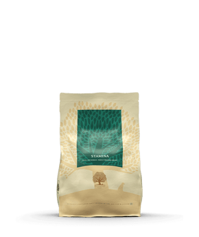 ESSENTIAL STAMINA SMALL SIZE 2.5кг