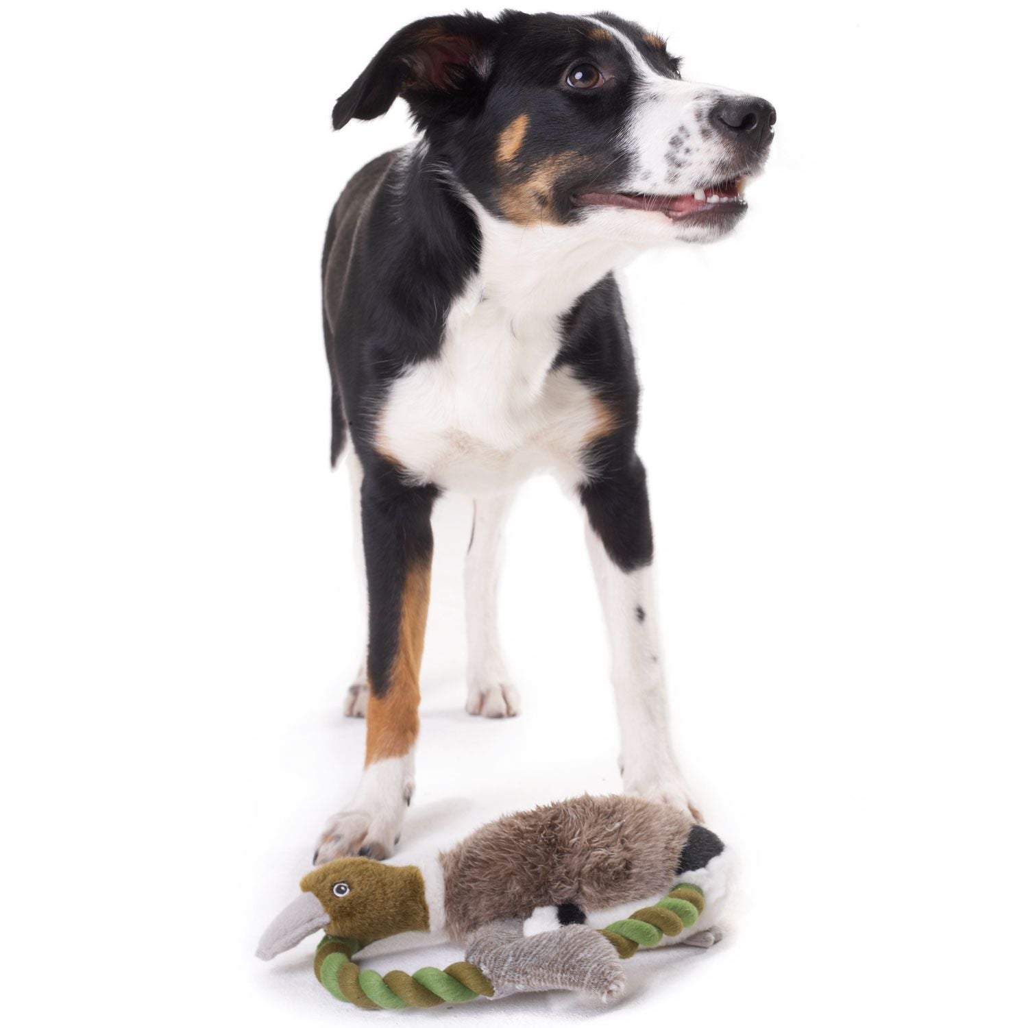 Играчка HUNTER Wildlife Training Duck 26 cm