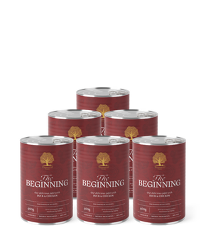Essential the Beginning pâté 6 х 400g - мокра храна за кученца