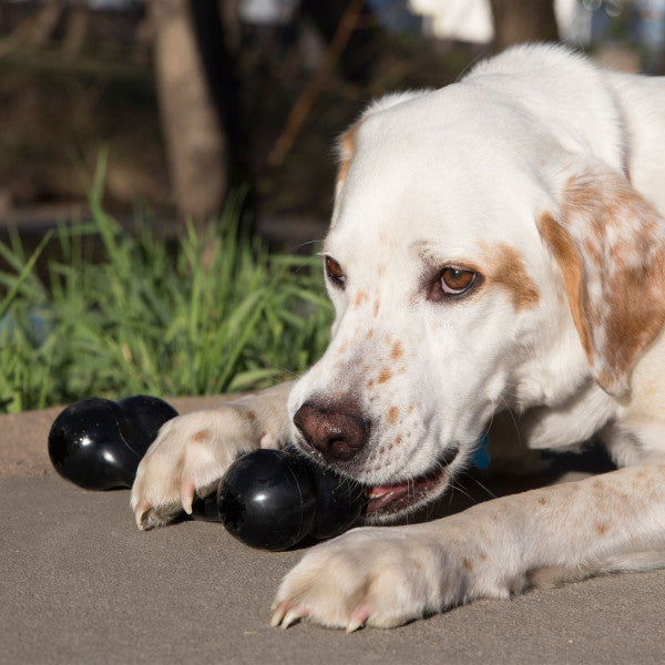 Играчка KONG® Extreme Goodie Bone™ Medium 18 cm