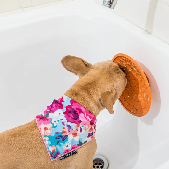 LickiMat® Splash™