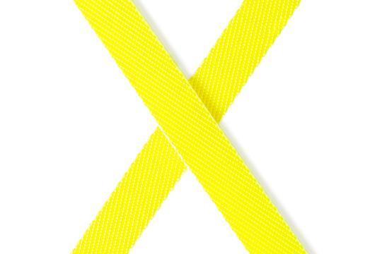 FLEXI Giant Neon XL лента 8m - за особено големи кучета