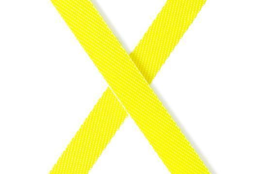 FLEXI Giant Professional L лента 10m - за кучета до 50кг