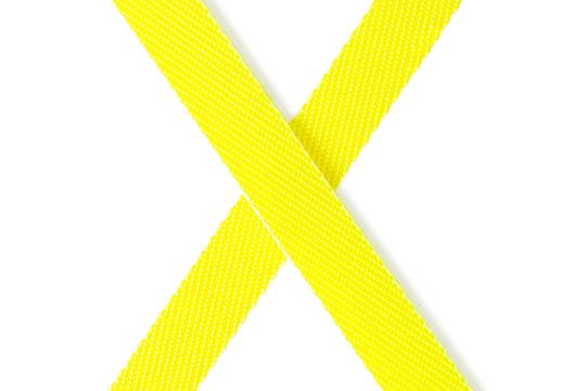 FLEXI Giant Neon L лента 8m - за кучета до 50кг