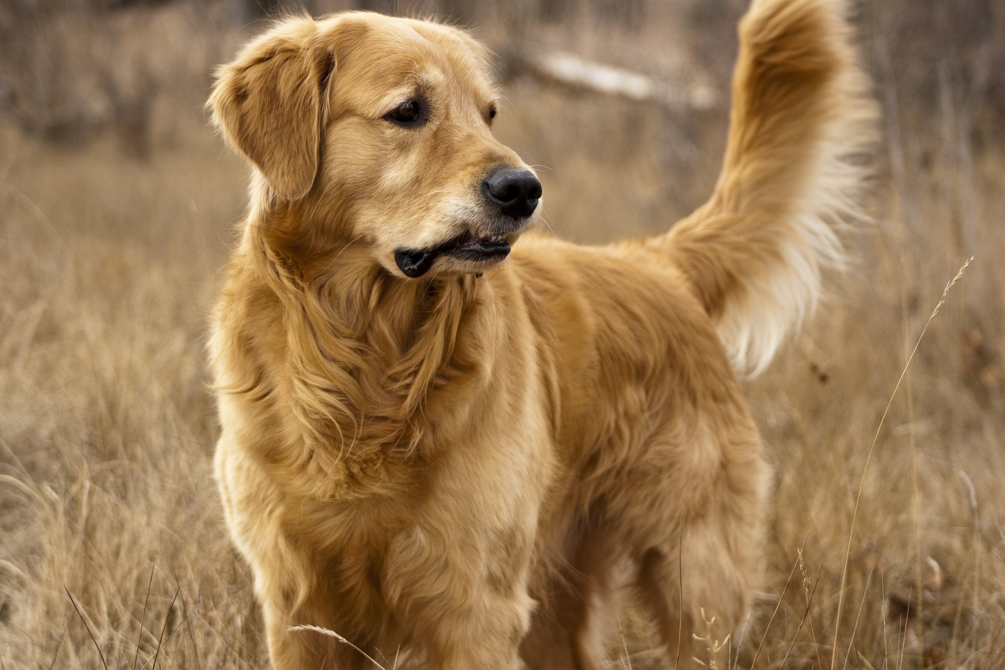 ESSENTIAL CONTOUR 2 x 10кг