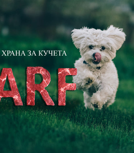 BARF храна за кучета