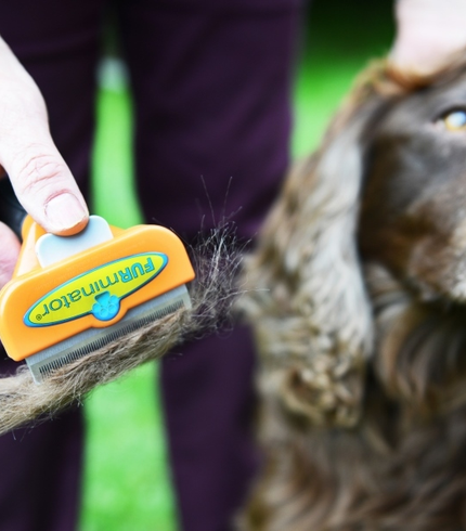 FURminator