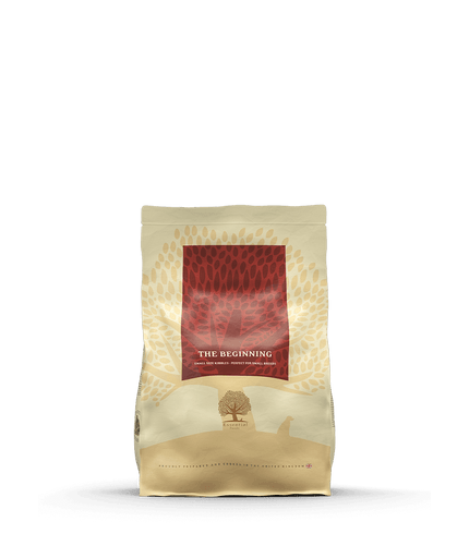dog-food-black-friday