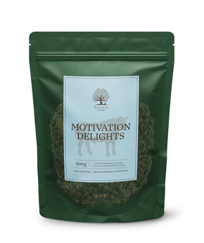 ESSENTIAL MOTIVATION DELIGHTS 500гр