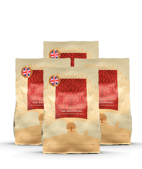 ESSENTIAL the BEGINNING SMALL SIZE 4 x 2.5кг