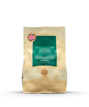 ESSENTIAL STAMINA SMALL SIZE 2.5кг