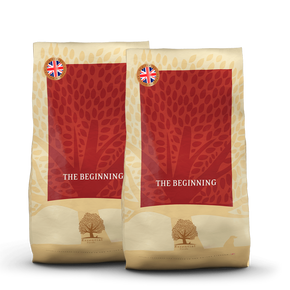 ESSENTIAL the BEGINNING 2 х 10кг.