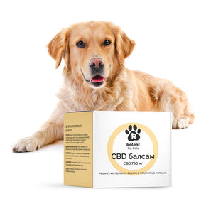 Releaf CBD Балсам при екземи и кожни заболявания, 50 мл