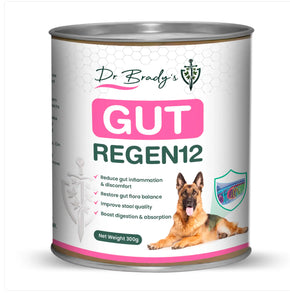 Dr. Brady’s Gut Regen12 – добавка за хронични проблеми със стомашно-чревния тракт 300гр