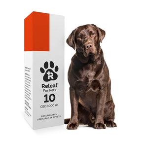 Releaf 10 – 1000 мг CBD масло за кучета, 10 мл