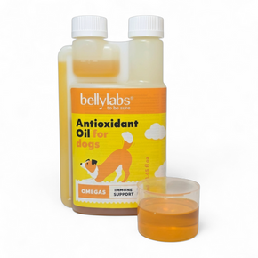 Bellylabs Antioxidant Oil 250ml